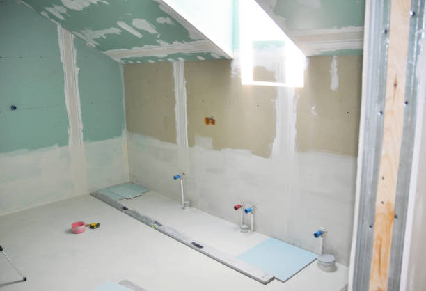 Best Attic Mold Removal  in Fayetteville, NY