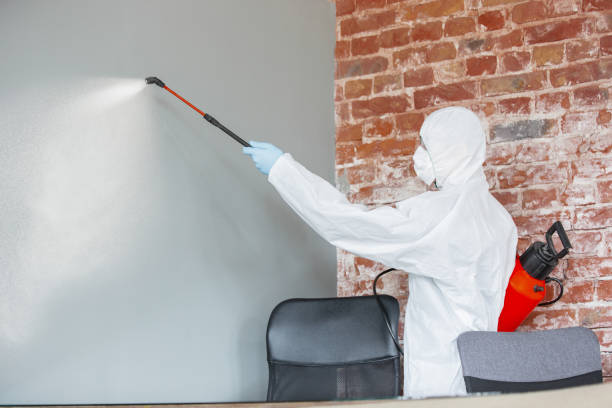 Best Mold Documentation for Insurance Claims  in Fayetteville, NY