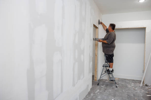 Best Crawl Space Mold Remediation  in Fayetteville, NY