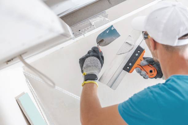 Mold Documentation for Insurance Claims in Fayetteville, NY